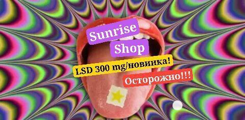 армения дарк нет купить мефедрон