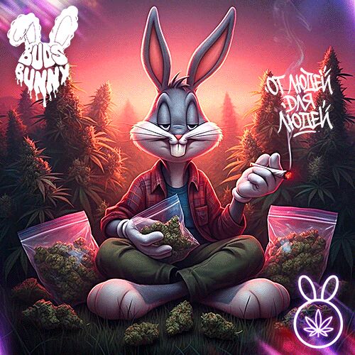 гашиш кокс меф купить онлайн