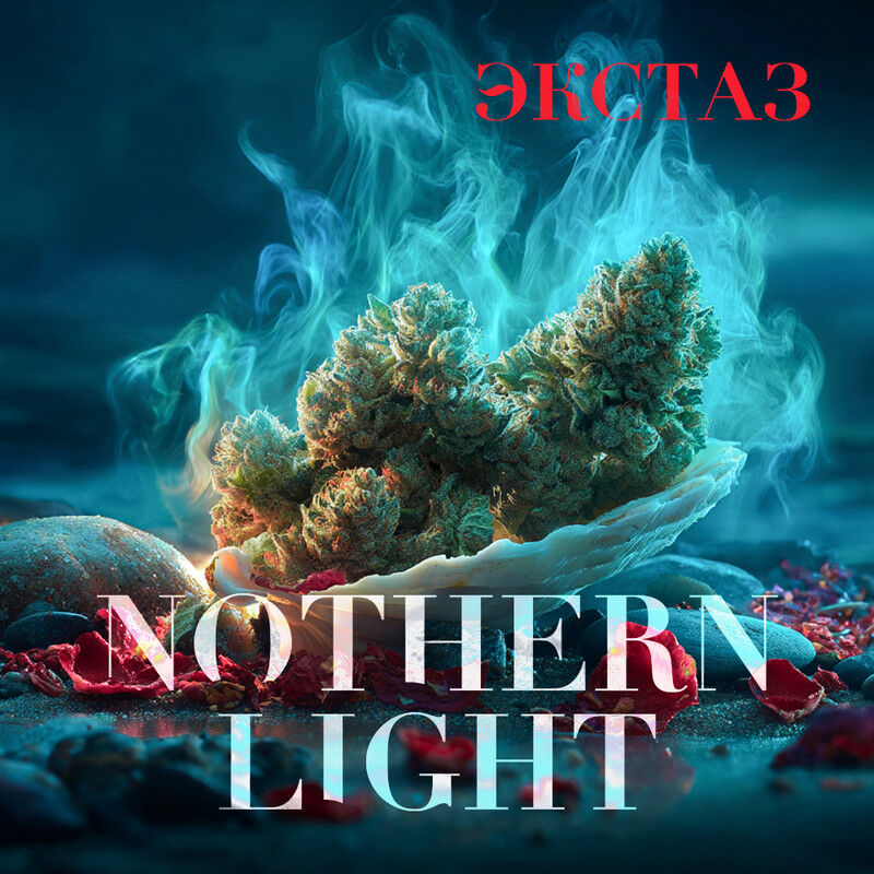 кировчанка помогла подруге купить закладку