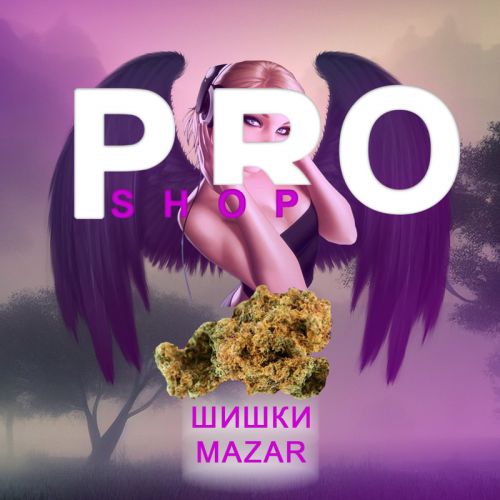 купить коноплю в волжском закладки