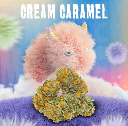 купить мефедрон в хабаровске