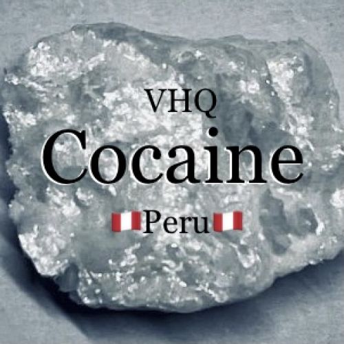 купить мяу москва