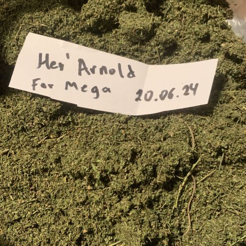 купить соль закладка