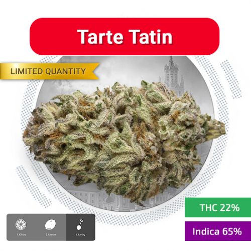 купить спайс гашиш курительный в волжском закладки