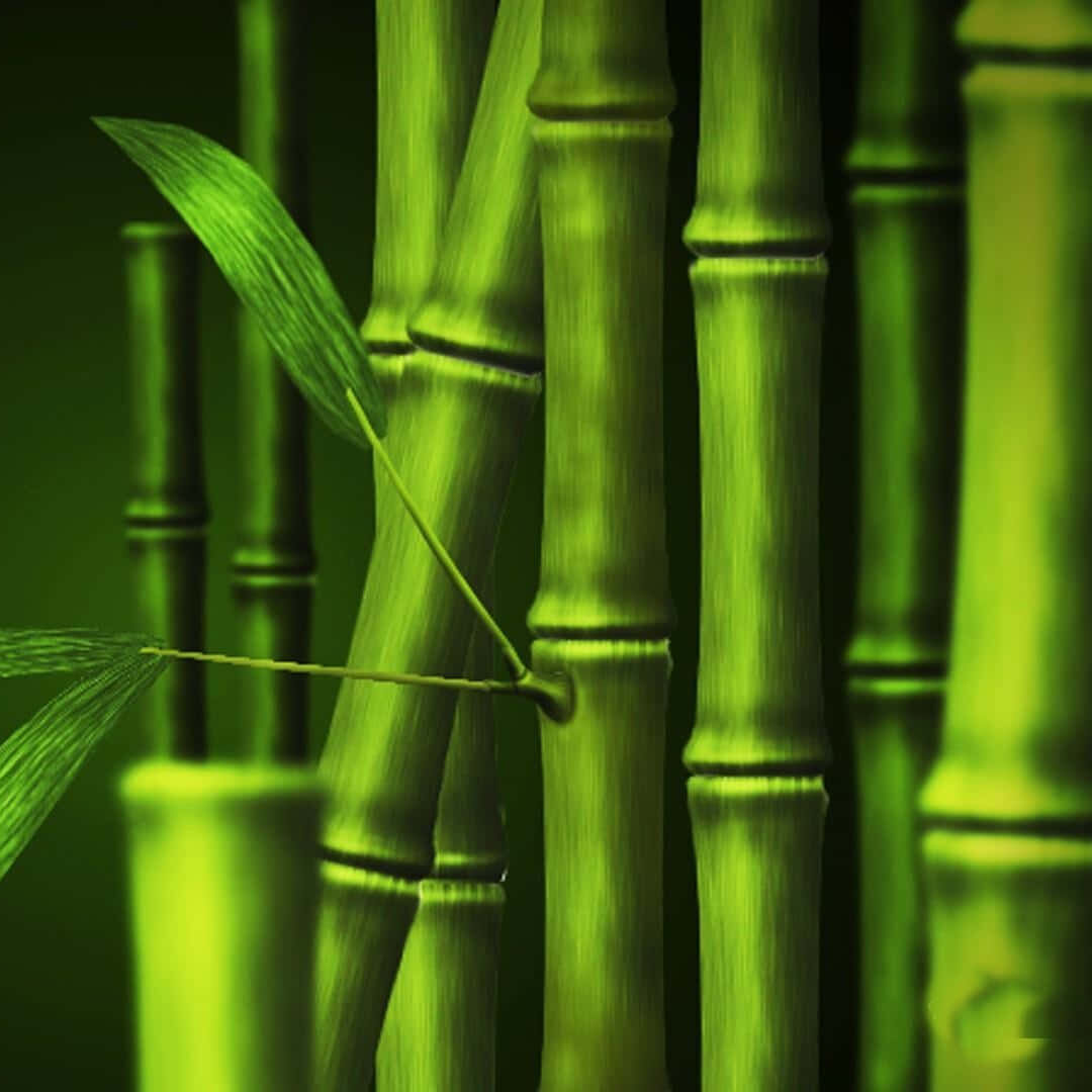 куплю меф в тобольске через телеграм