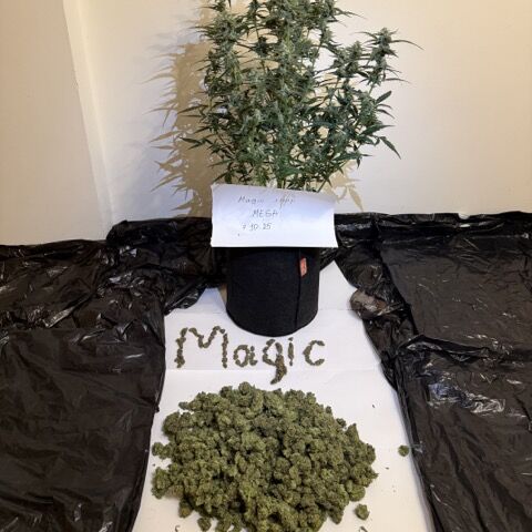 куплю мефедрон мука в тюмени