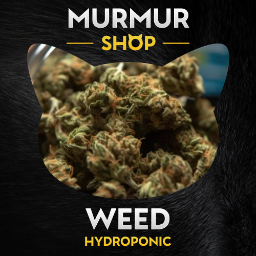 меф екб купить