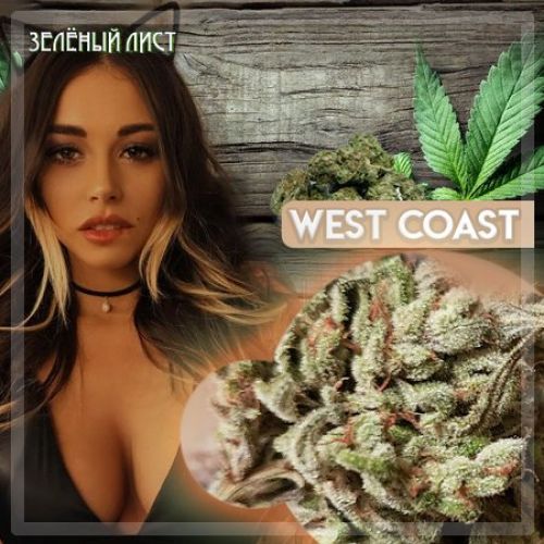 меф питер купить