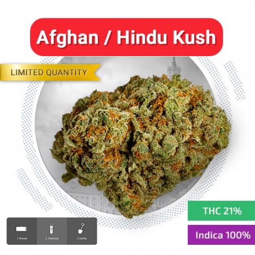 мефедрон купить мега зеркало россия