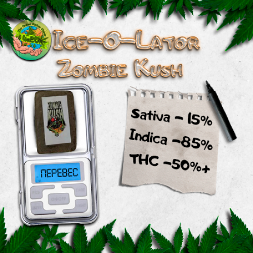 мефедрон купить тг