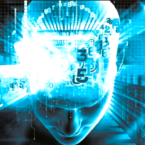 мяу казань купить