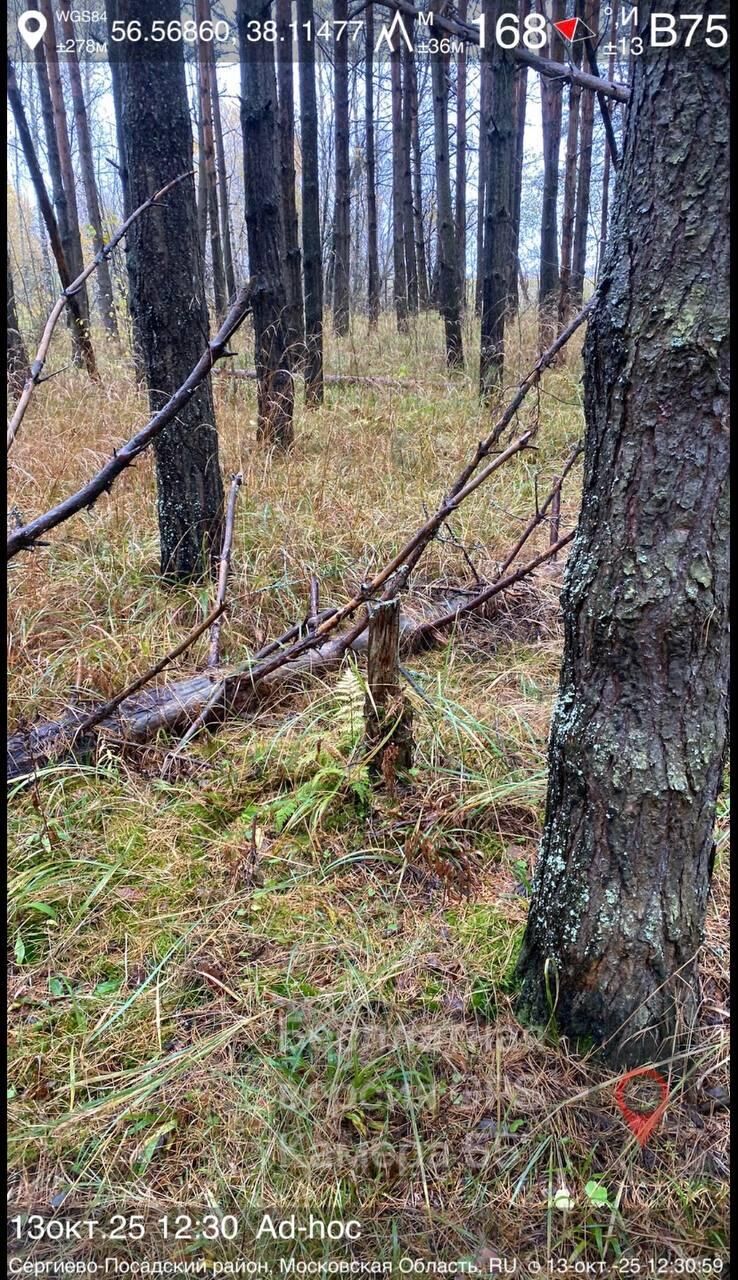 номера мяу на машину купить