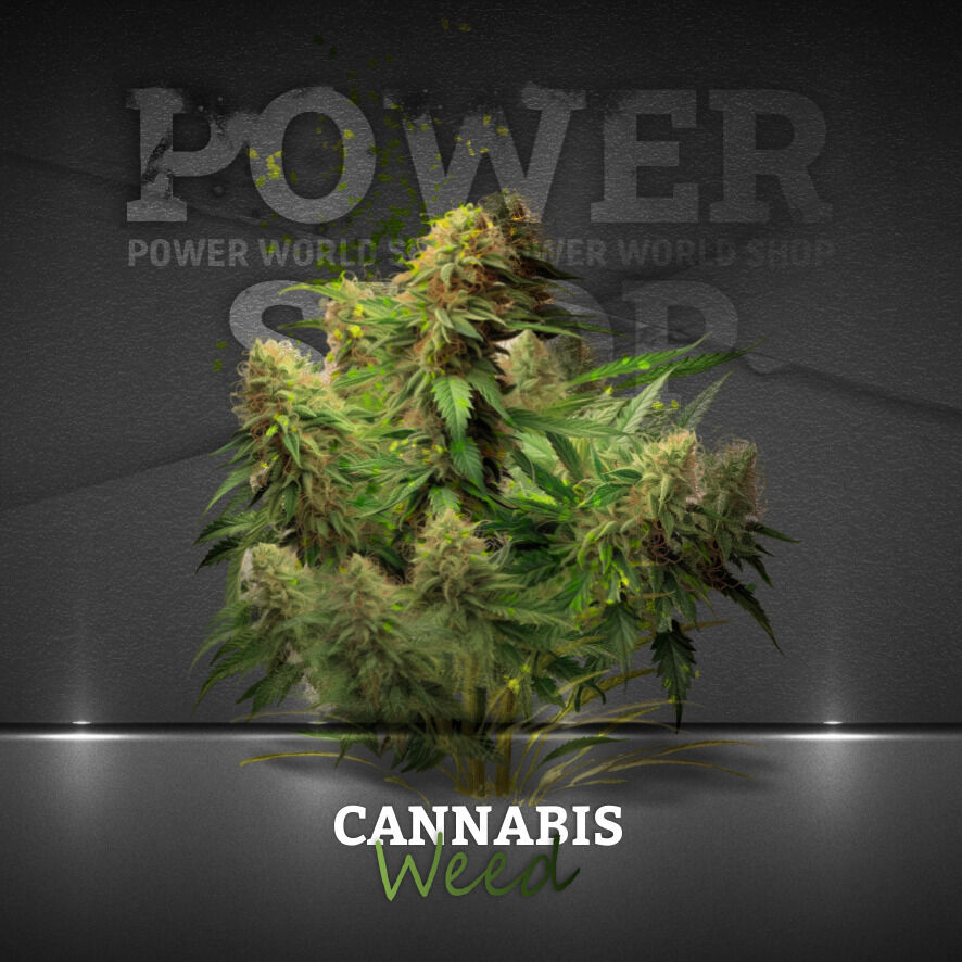 сайт где купить меф