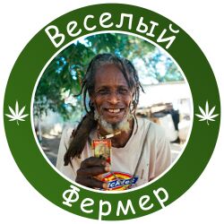 вау мяу купить