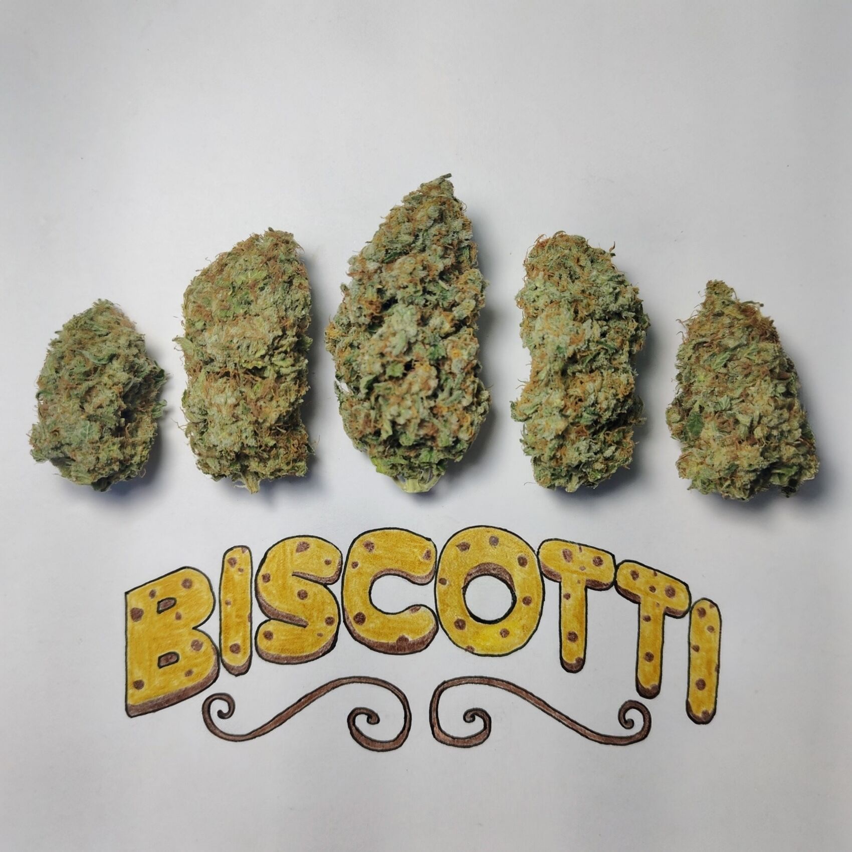 введенский мяу купить