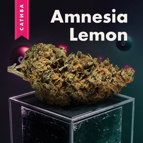 закладка для евангелия купить