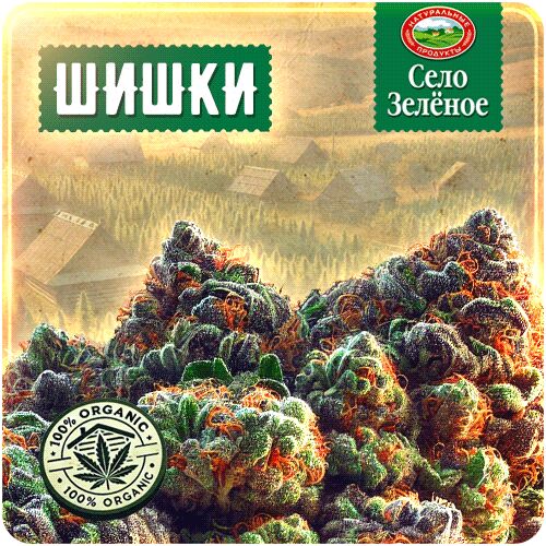 закладка серебряная купить