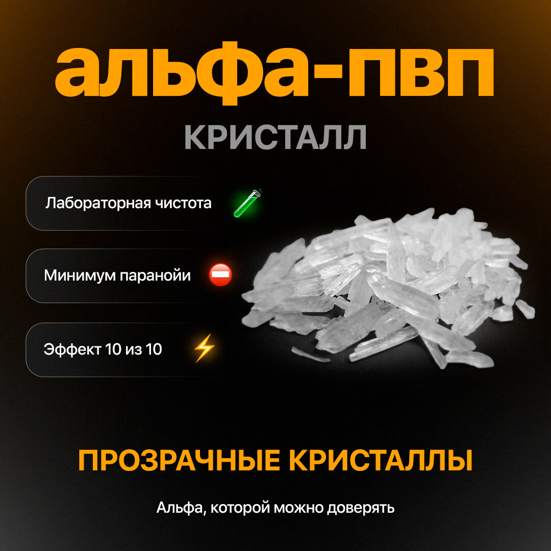 закладки для книг купить на вайлдберриз