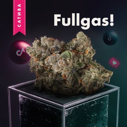 закладки спб купить